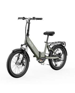 20 * 3.0 zoll E-Bike 48V/10.4AH Scheibenbremse Elektrofahrrad 250W Reichweite 95 km