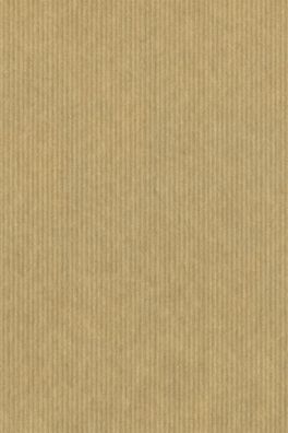 Brunnen Packpapier 75x100cm 80g Natron 1030151