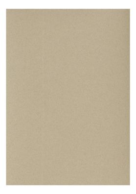 Clairefontaine Zeichenpapier A4 160g champagner 5B