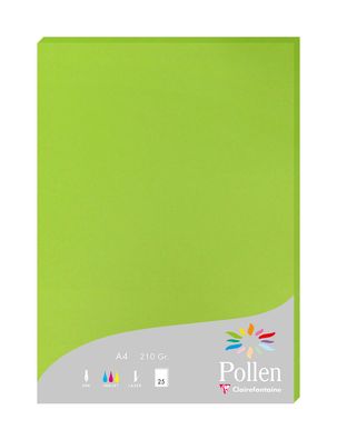 Clairefontaine Papier A4 210g minze 25Bl
