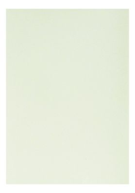 Clairefontaine Zeichenpapier A4 160g hellgrün 5B