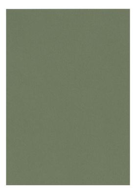 Clairefontaine Zeichenpapier A4 160g wassergrün 5B
