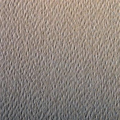 Clairefontaine Zeichenpapier A4 160g Pt camel 25Bg