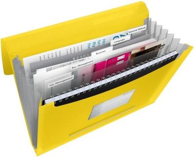 Esselte Fächermappe A4 6 F. gelb Projektmappe mit 6 Fächern. Für 300Blat