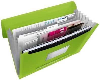 Esselte Fächermappe A4 6 F. grün Projektmappe mit 6 Fächern. Für 300Blat