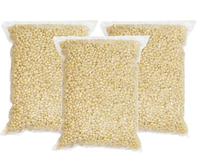 Pinienkerne geschält 3 x 100 g Zedernkerne aus Russland Pine Nuts Zeder Kiefer