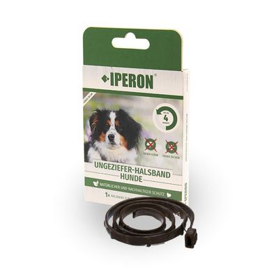 1 Stk. IPERON® Flohhalsband Hund klein 60 cm - Wählen Sie Ihr Wunschpake