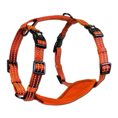 Alcott Essentials Neon Abenteuergeschirr Hund, neon-orange, M