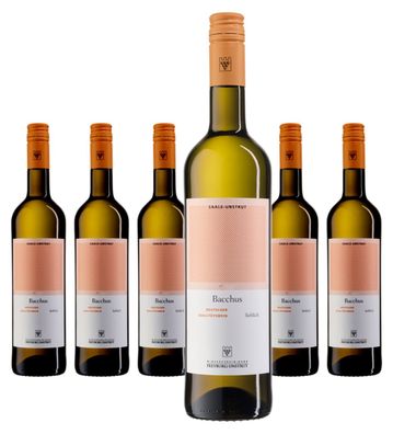 6 x WV Freyburg-Unstrut Bacchus Lieblich QbA – 2023