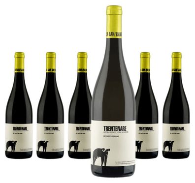 6 x Azienda Agricola San Salvatore Trentenare Fiano – 2024