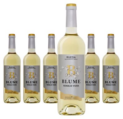 6 x Blume Verdejo Viura Rueda – 2024