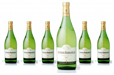 6 x Barbadillo Blanco De Albariza – 2024