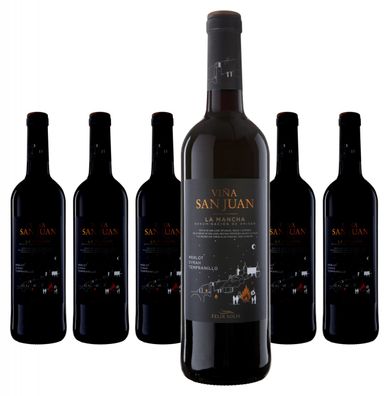 6 x Félix Solís Viña San Juan Tinto – 2024