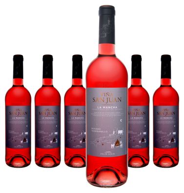 6 x Félix Solís Viña San Juan Rosado (Tempranillo) – 2024