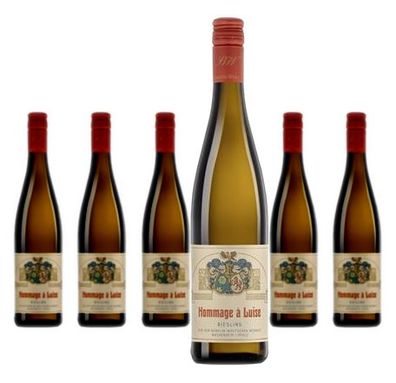 6 x Weingut Dr. Bürklin-Wolf Hommage à Luise Riesling fruchtsüss – 2024