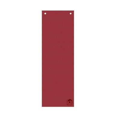 TrendyYogaMat Professional 180x60x0,5cm rot mit Ösen