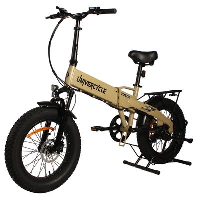 Faltbares 20 Zoll Fat-Tire Elektrofahrrad mit Gepäckträger 250W 48V 12,5Ah E-bike