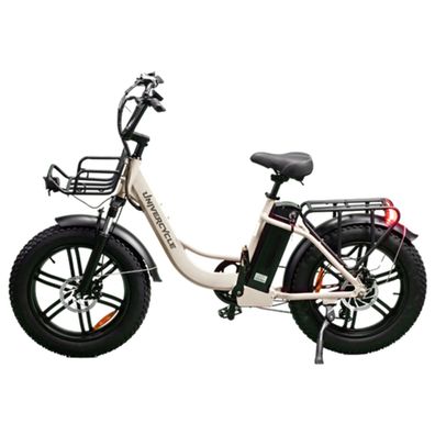E-Lastenrad mit Frontkorb und Heckgepäckträger 20" 250W 25Km/h Lasten Cargo E-Bike