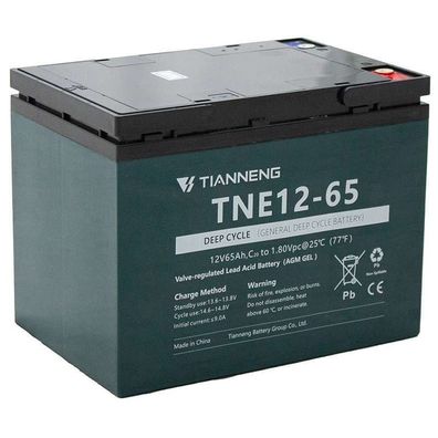 Akku 12 V 65 Ah TNE 12-65 AGM passend für Elektro Fahrzeuge