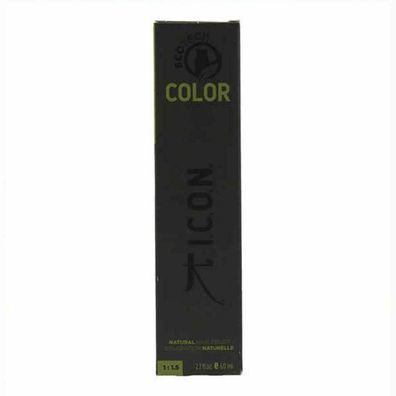 Ecotech COLOR natural color #10.0 natural platinum