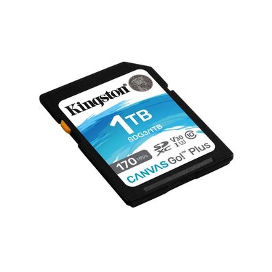 Sd 1Tb Canvas Go! Plus Uhs-I U3 Kin