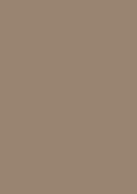 Heyda 204711485 Tonpapier A4 schlamm