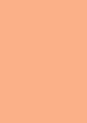 Heyda 204711416 Tonpapier A4 apricot