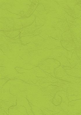 Heyda 204718552 Strohseide 50 x 70 cm maigrün