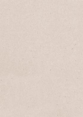 Heyda 204772406 Graupappe 50 x 70 cm