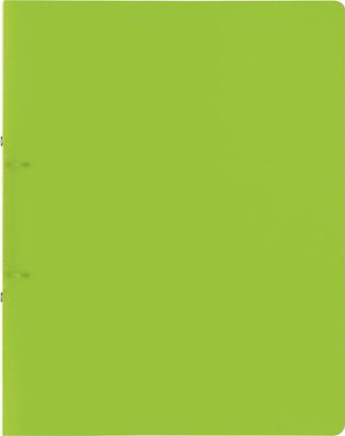 Brunnen 106551652 Ringbuch FACT!pp kiwi