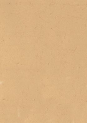 Heyda 204831511 Elefantenhaut 50 x 70 cm chamois
