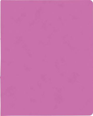 Brunnen 106550922 Ringbuch FACT!plus pink