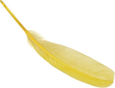 KNORR prandell 216620051 Gänsefedern ca. 16 - 21 cm gelb