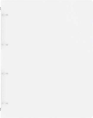 Brunnen 106554600 Ringbuch FACT!pp arctic