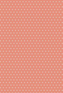 Heyda 204771766 Motivkarton "Starlight" 50 x 70 cm koralle