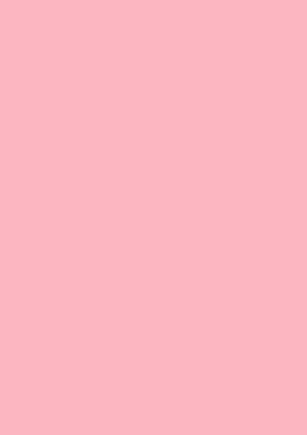 Heyda 204711421 Tonpapier A4 hellrosa