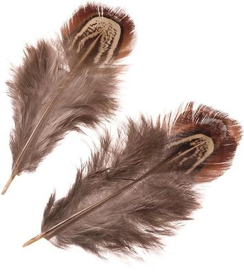KNORR prandell 216617982 Fasanenfedern 3 - 9 cm natur
