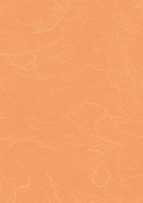 Heyda 204718512 Strohseide 50 x 70 cm beige