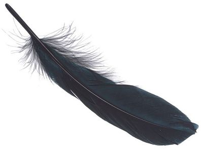 KNORR prandell 216620612 Gänsefedern ca. 16 - 21 cm schwarz