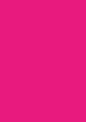 Heyda 203161030 Plakatkarton "Leuchtfarben" 48 x 68 cm leucht-pink