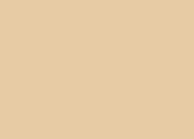 Heyda 204711211 Tonpapier 50 x 70 cm chamois