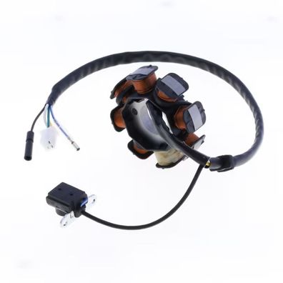Lichtmaschine Generator für Adly Cat Buffalo MZ Peugeot Rex Sachs Sym TGB