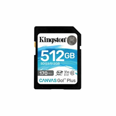 Canvas Go! Plus 512 GB SDXC (schwarz, UHS-I U3, Class 10, V30)