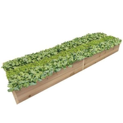 Pflanzkasten Frühbeet Kräuterbeet Blumenbeet von terra-garten