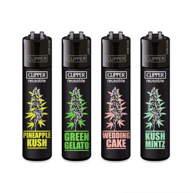 Clipper Reibradfeuerzeuge PLANTZ #6, 4 Stück