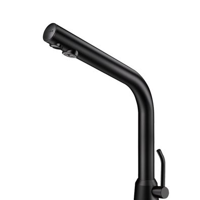 Delabie WT-MBatt. Binoptic MIX G3/8B matt schwarz H250mm 6V-Batterien