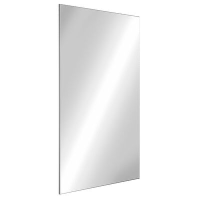 Delabie Spiegel bruchsicher 10x595x980 mm Edst. spiegelpol