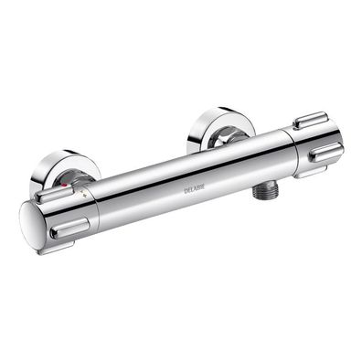 Delabie Brause-Thermostatarmatur Securitherm, Standard S-Anschlüsse