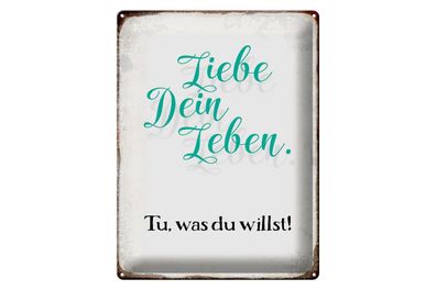 Blechschild 40 x 30 cm liebe dein Leben tue was willst