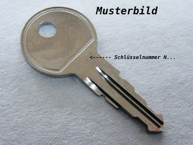 Original Thule Ersatzschlüssel N011 für Dachträger Heckträger und Dachboxen Schlüssel
